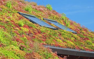 Murrayfield living roof systems