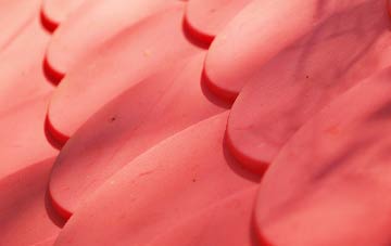 Murrayfield plastic roof costs